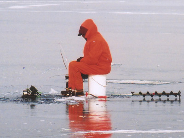 How can fish survive in a frozen lake? | NSTA